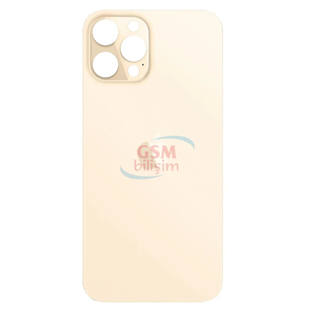 iPhone 12 Pro Arka Kapak Gold